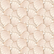 Packed Scallop Shells Shell